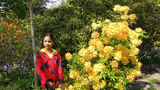 Beacon Hill Park – Walks in Your Backyard