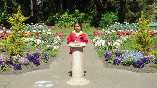 Beacon Hill Park – Walks in Your Backyard