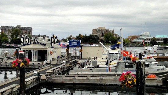 View of Victoria downtown inner harbour full of activities. Seattle to Victoria flight take only 45 minutes to get here. 