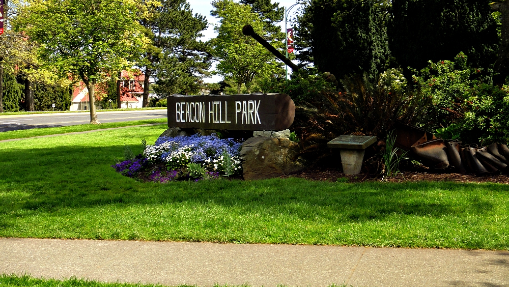 Beacon Hill Park – Walks in Your Backyard